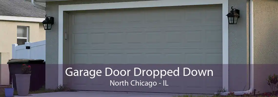 Garage Door Dropped Down North Chicago - IL