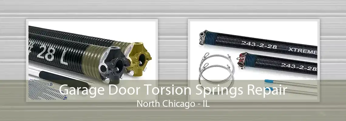 Garage Door Torsion Springs Repair North Chicago - IL