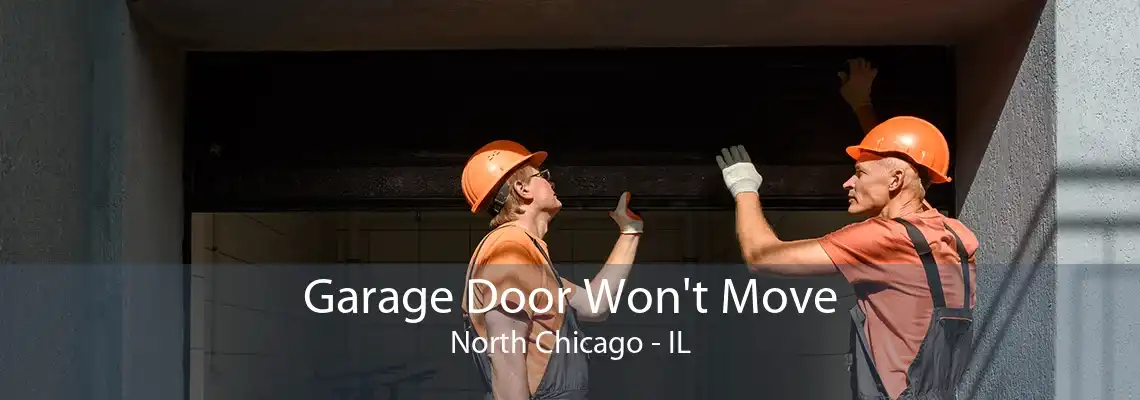 Garage Door Won't Move North Chicago - IL